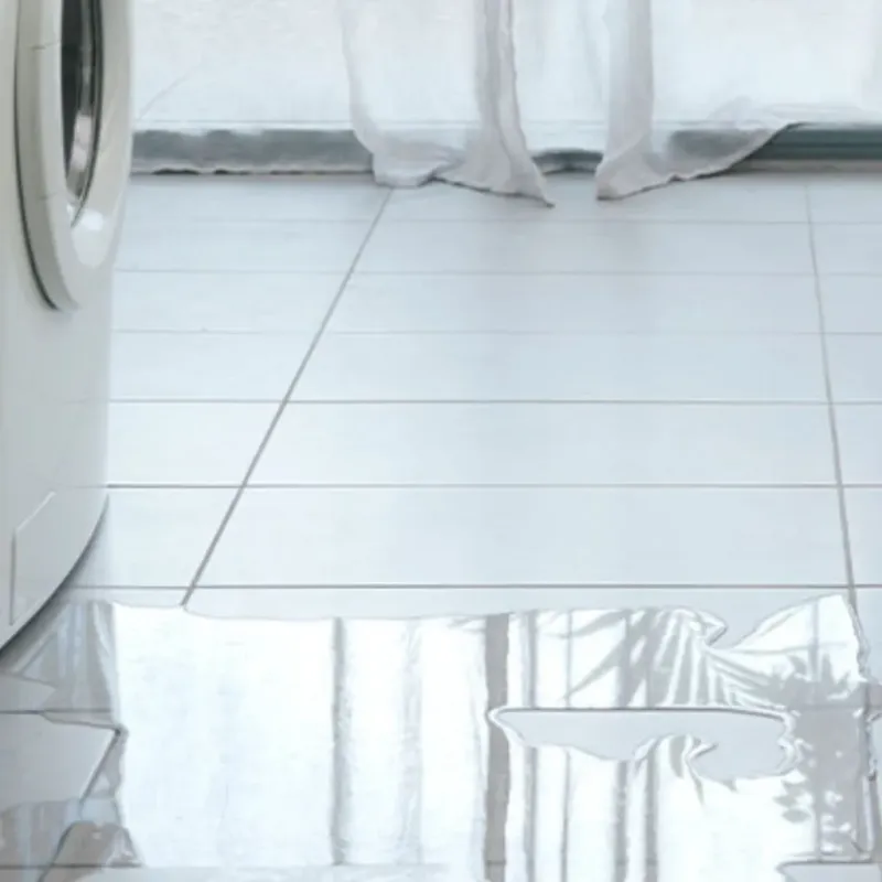 Appliance Leak Cleanup in Waverly, IL