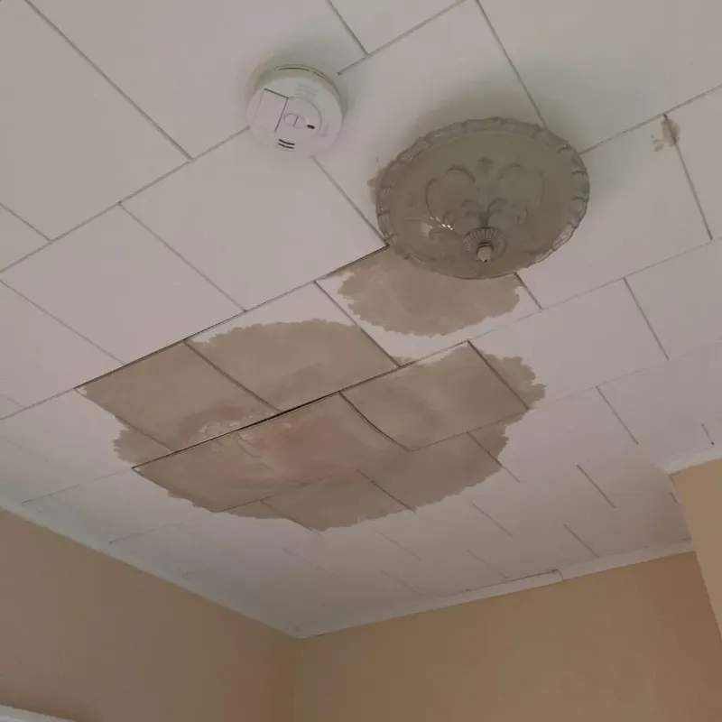 Ceiling Water Damage Repair in Waverly, IL