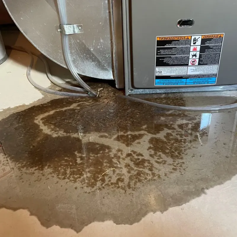Pipe Burst and Leak Restoration in Waverly, IL
