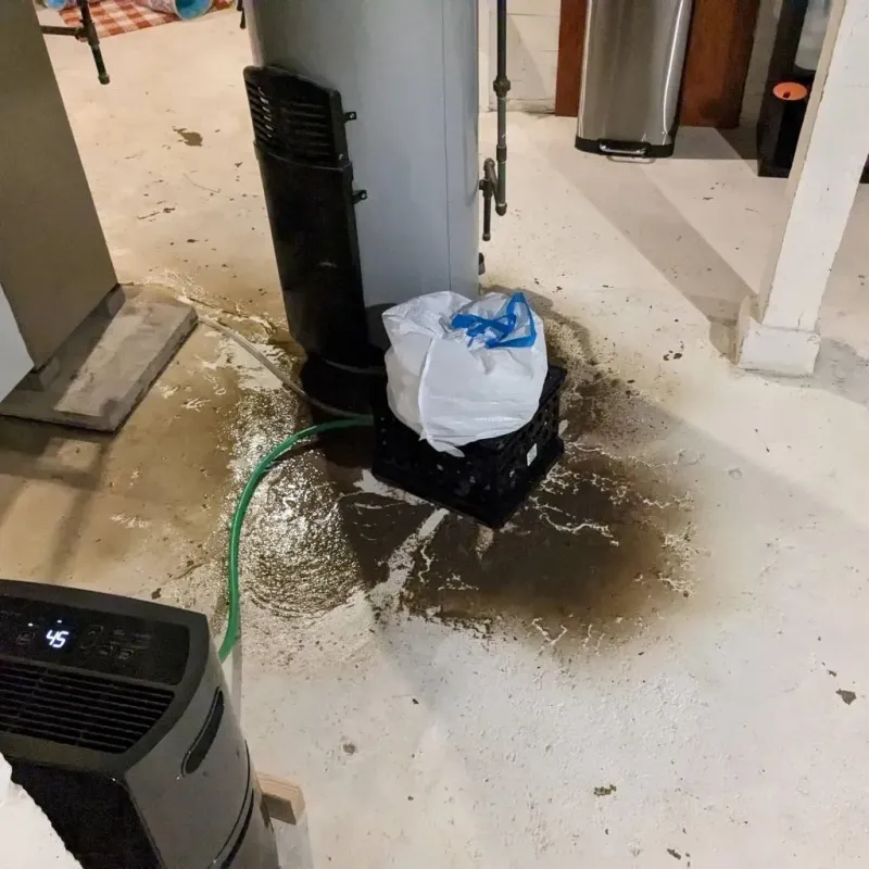 Sewage Backup Cleanup Service in Waverly, IL